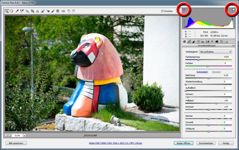 How to: RAW Import in Photoshop / Grundlagen