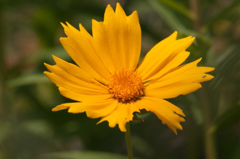 20769-c56416a30a49c6e9f21bef52552f4976