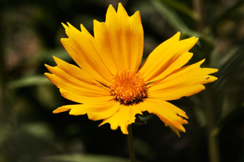 20770-63a5470a566c513f68cffaba1f67c8e7