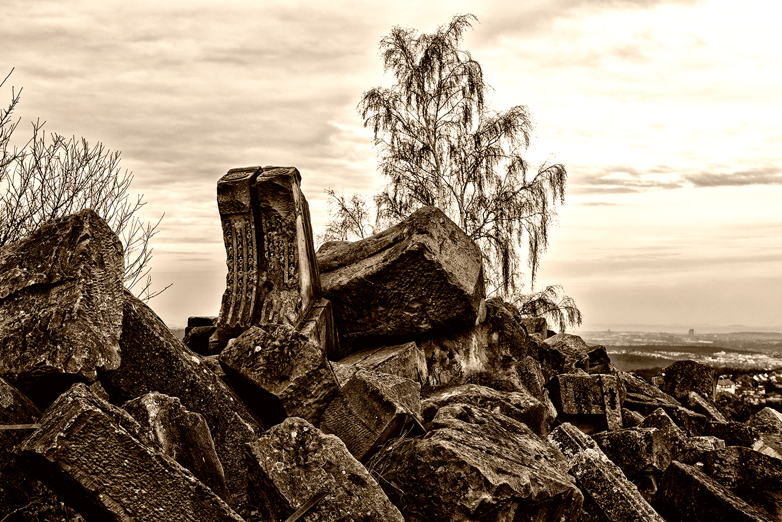 _DSC0019