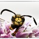 Schon gegessen?