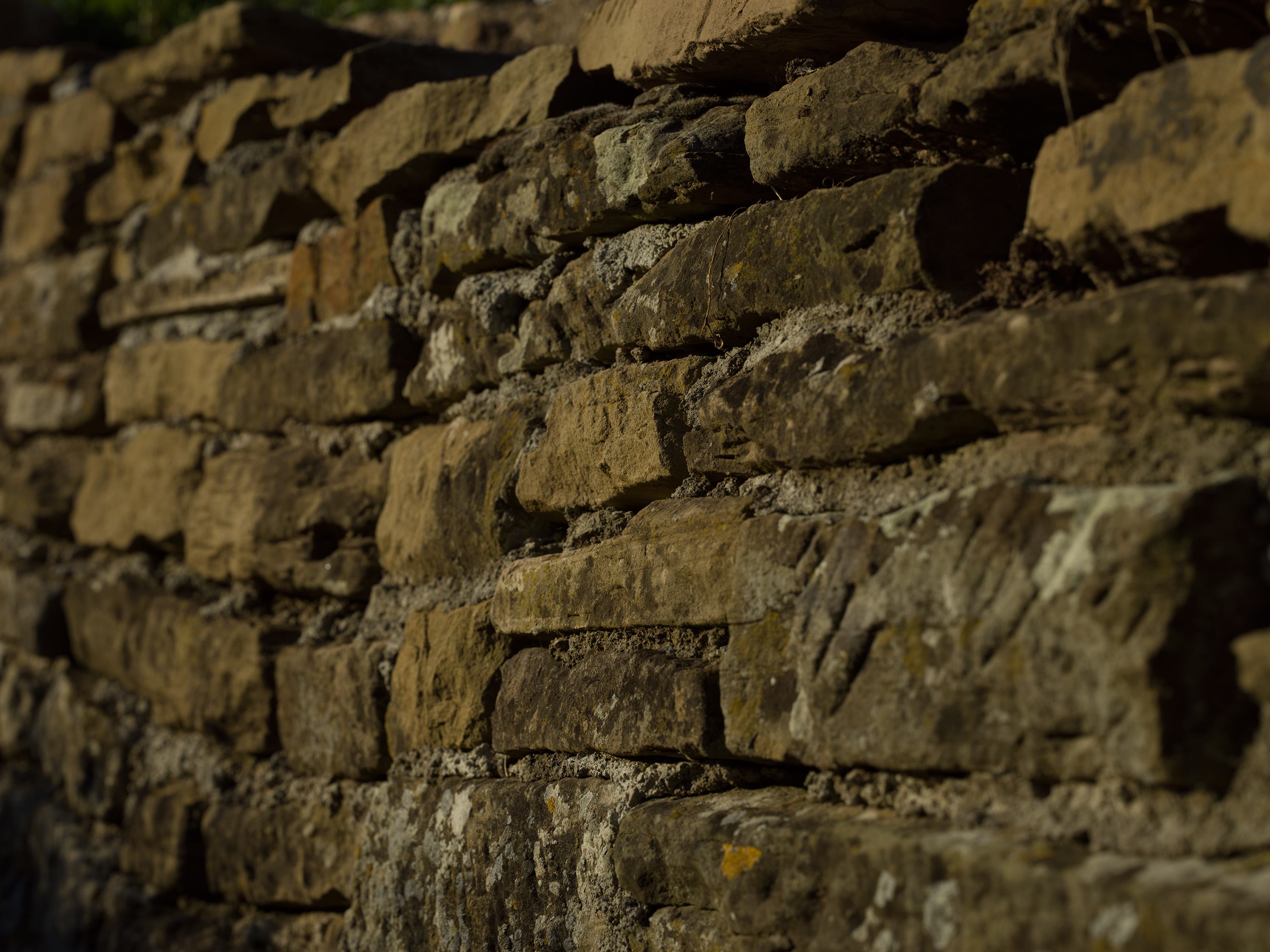 The Wall