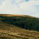 Feldberg