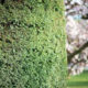 Frühling…