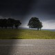 Baum – mal anders